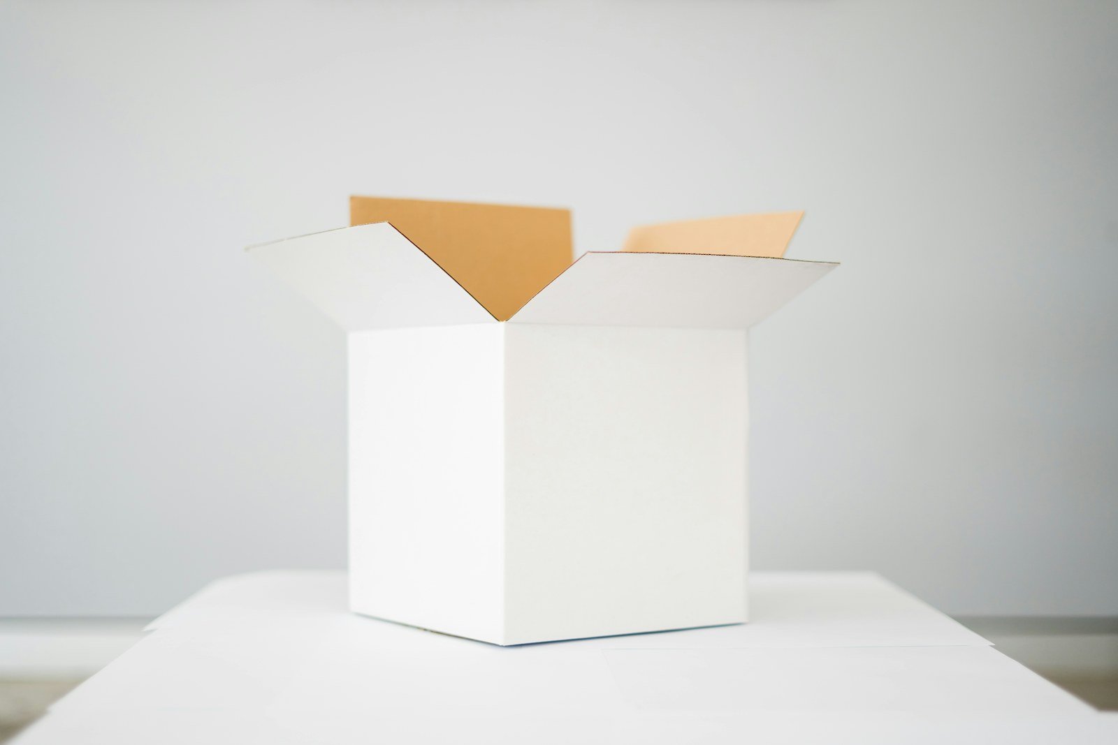 Pet Product Sourcing from China 1 Open unbranded white product packaging box